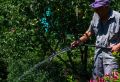 Агроном Людмила Севастьянова рассказала, как сэкономить воду на дачном участке
