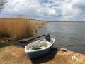 В Челябинской области на озере Щучье утонул 65-летний мужчина