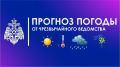 Погоду в Челябинской области 19 июня будет определять атмосферный фронт низкого давления