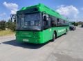 В Челябинске водитель автобуса собрал на рейсе 5 нарушений
