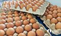 В Минсельхозе объяснили снижение цен на яйца в Челябинской области