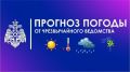 Погоду в Челябинской области 21 июня будет определять атмосферный фронт низкого давления