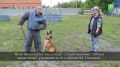 Ищут нарушителей за лакомство
