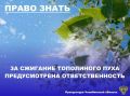 В связи с наступлением летнего периода и увеличением риска возникновения пожаров в результате скопления тополиного пуха на территории региона прокуратура области напоминает жителям и гостям о соблюдении мер предосторожности...