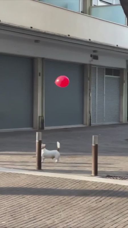 #31. ,             