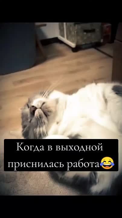 #31.        !     