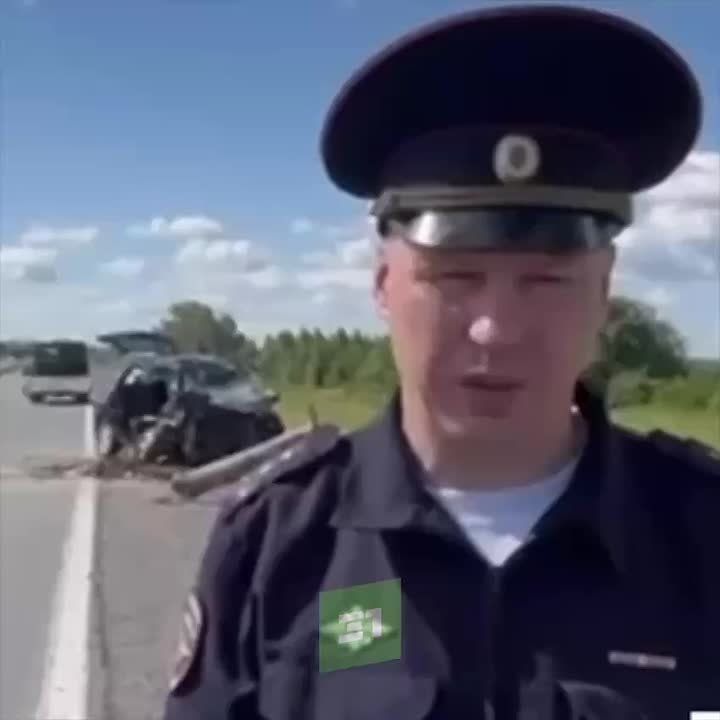 : ,  (11  3 )   ,  