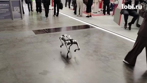  ,   ,  