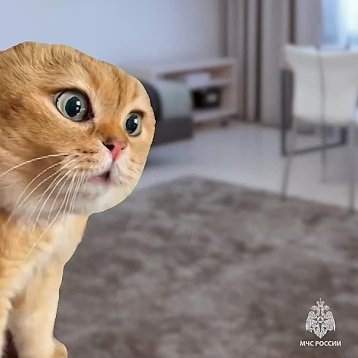 &quot;, ,  &quot;.      