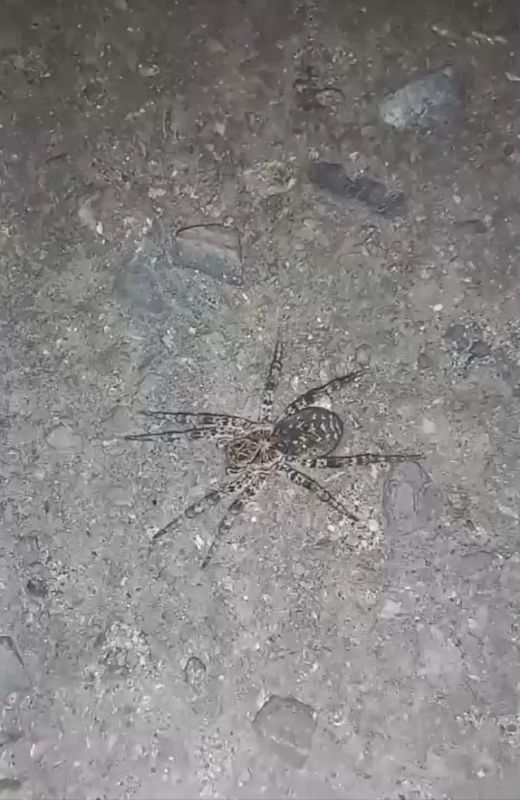   !.     ,   