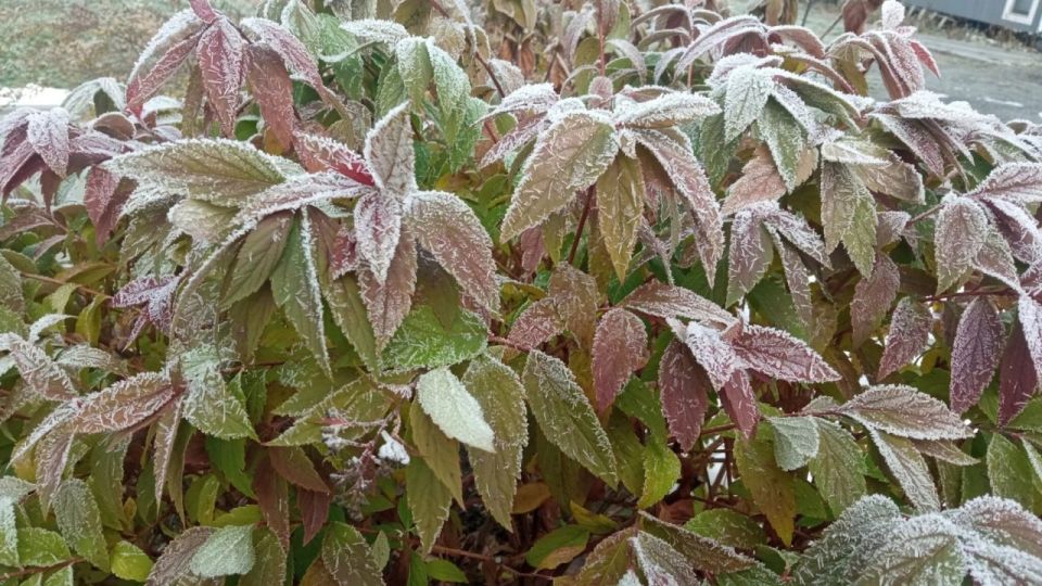   -6C:      