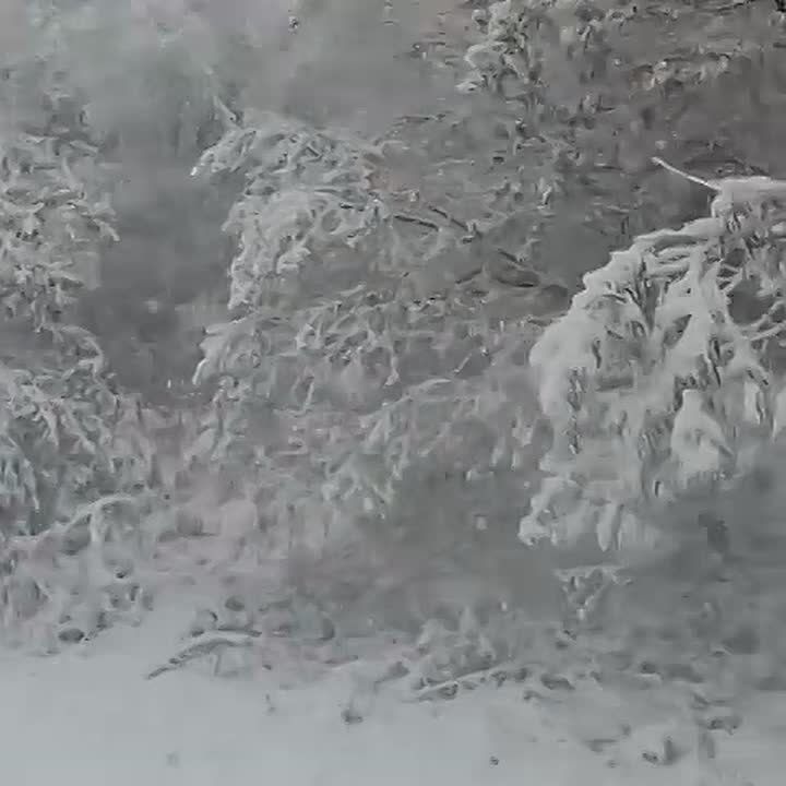        -5  