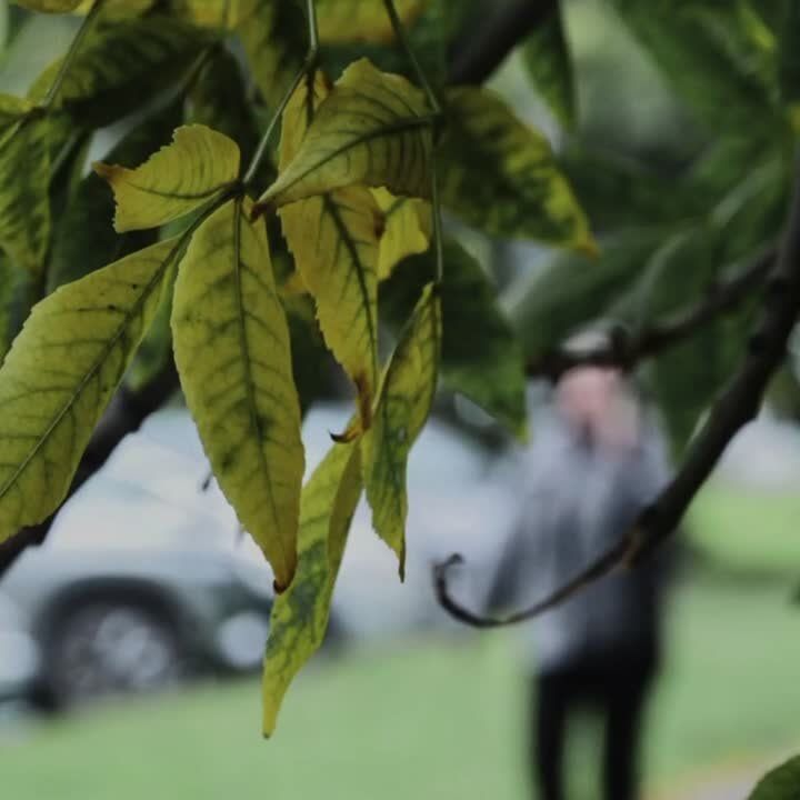   .   ,     