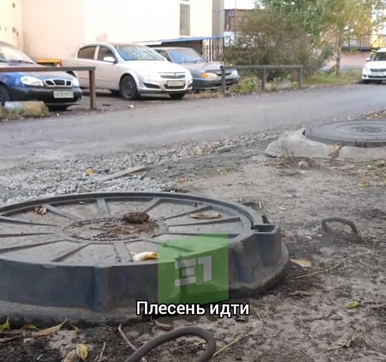    !    ,        
