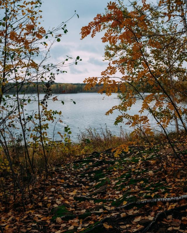 #.     