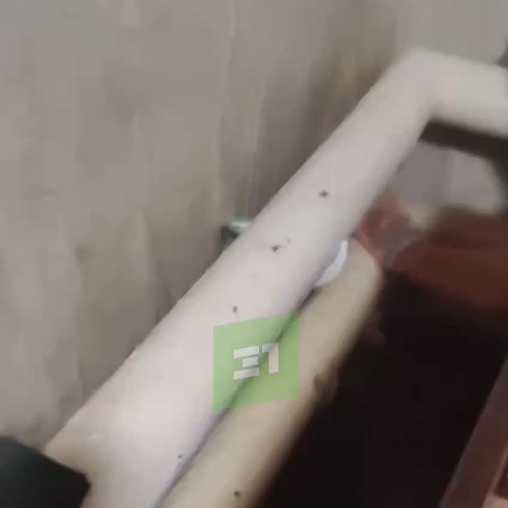  ,    ,     