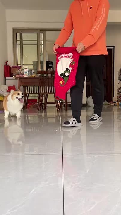 #31.             ,         