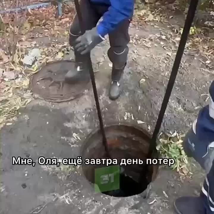        ,   ,  .... 