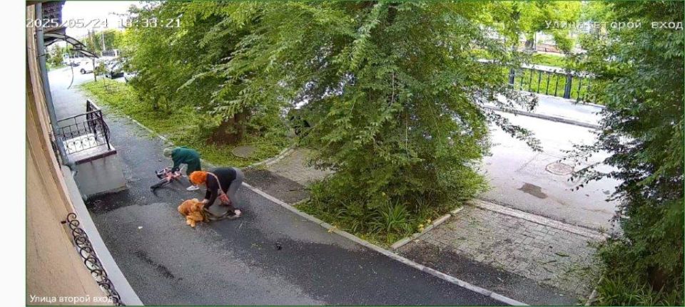       ,   