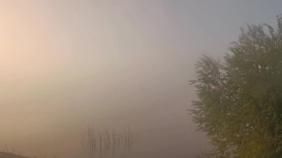    .      ,     ,  