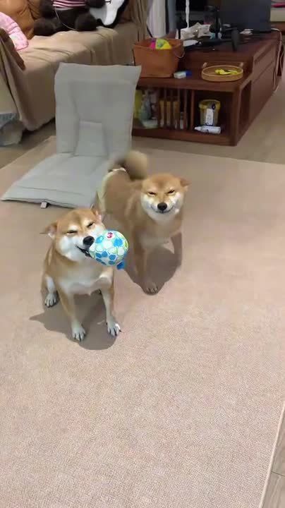 #31.    ,              !   , , 