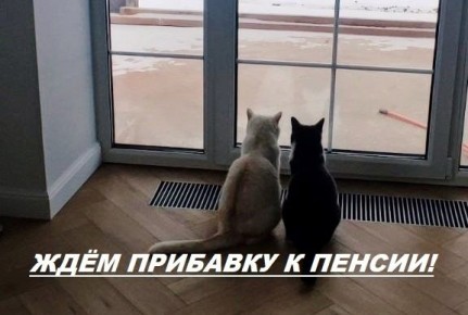   :       ?