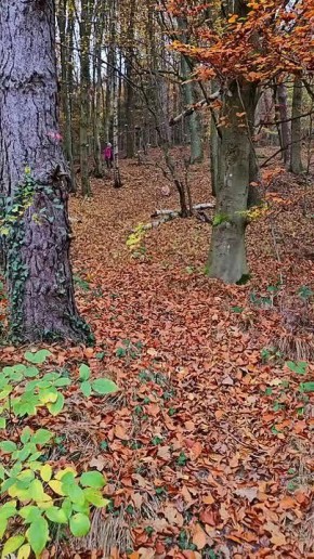 #31. ,  ! ,          ,     