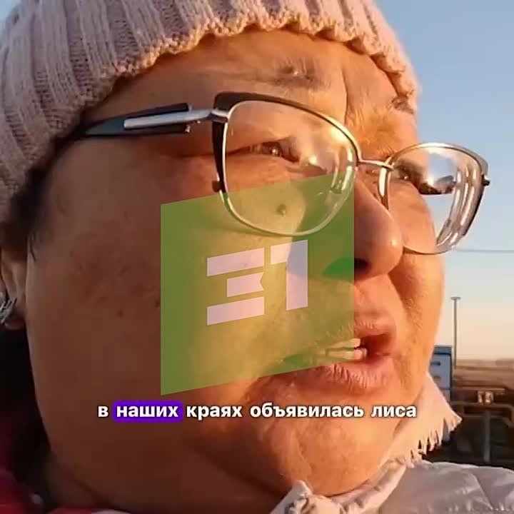 &quot; &quot;   