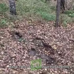 &quot;  ,  ....&quot;     