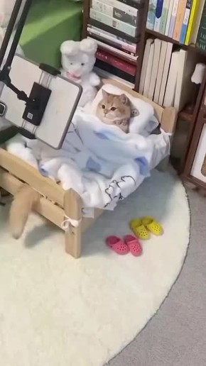 #31.            ,     