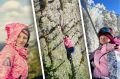 «Она очень его любит»: на поиски пропавшей на Большом Иремеле женщины объединяются туристы из разных регионов
