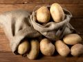 Картофель, который не боится капризов погоды