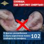 В Челябинской области проходит второй этап Общероссийской акции «Сообщи, где торгуют смертью!»