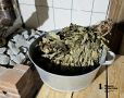 На Южном Урале вырос спрос на строительство сибирских бань