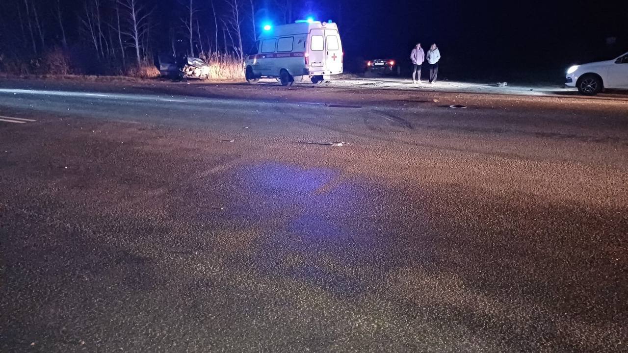 В Троицком районе поздно вечером на трассе погиб водитель
