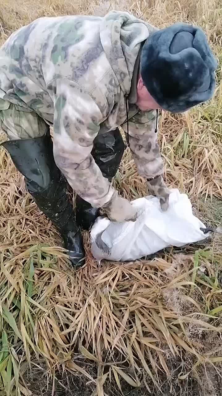 В Еткуле люди спасли раненого журавля