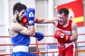Челябинские боксеры с побед стартовали на чемпионате МВД России