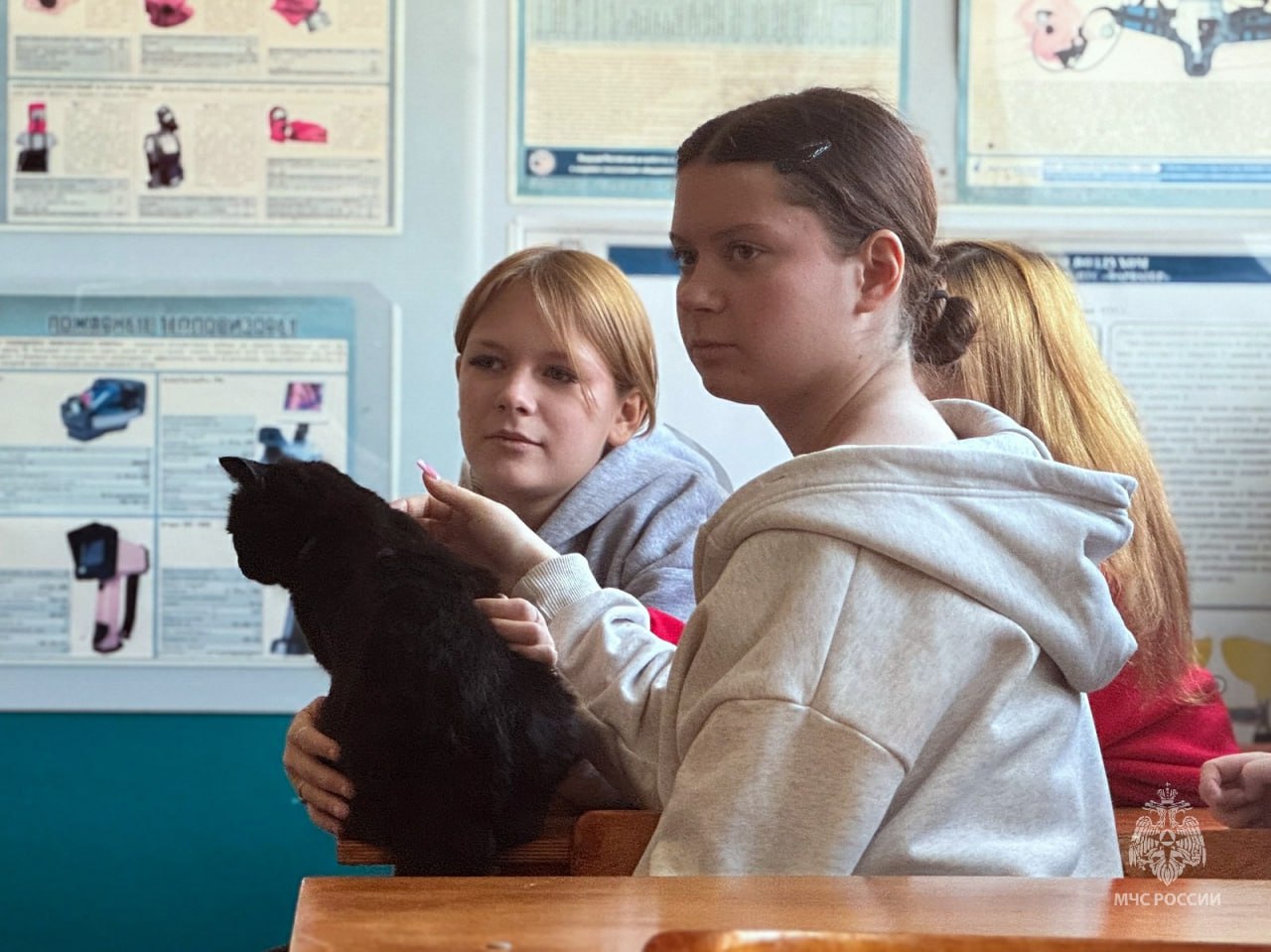 Безопасность - предмет, который нельзя прогуливать Безопасность - предмет, который нельзя прогуливать