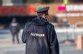 Двух рецидивистов задержали за кражу шуб и телевизора в Верхнем Уфалее