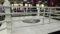 Чемпион мира по кикбоксингу открыл клуб единоборств в Челябинске