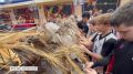 Юные спортсмены из Челябинска помогают бойцам СВО