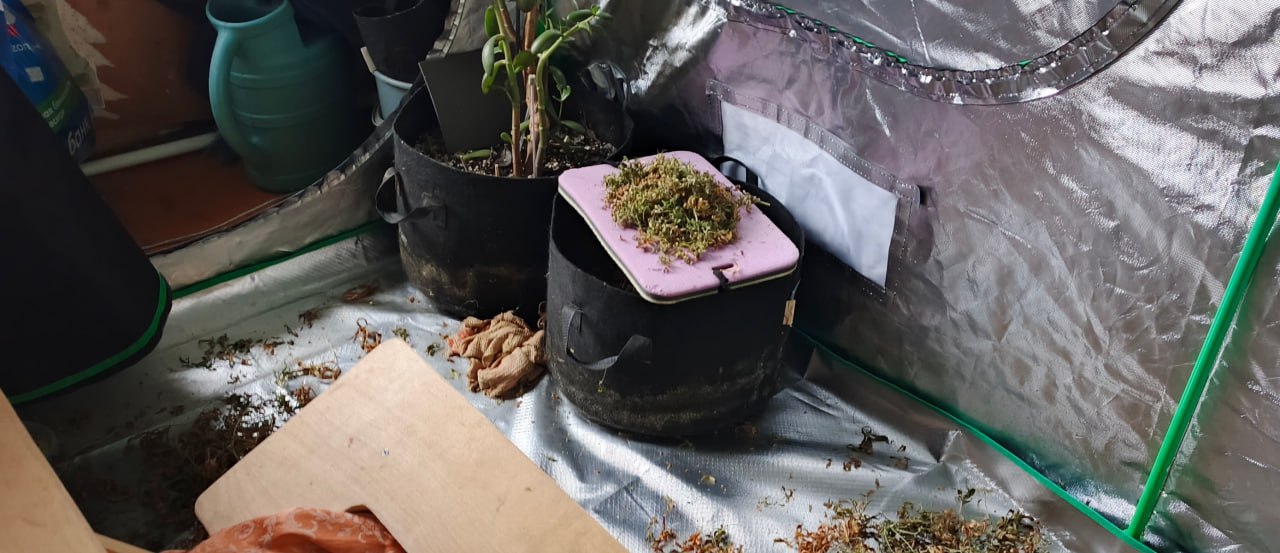 В Кусинском районе полицейские изъяли из незаконного оборота более килограмма наркотика В Кусинском районе полицейские изъяли из незаконного оборота более килограмма наркотика