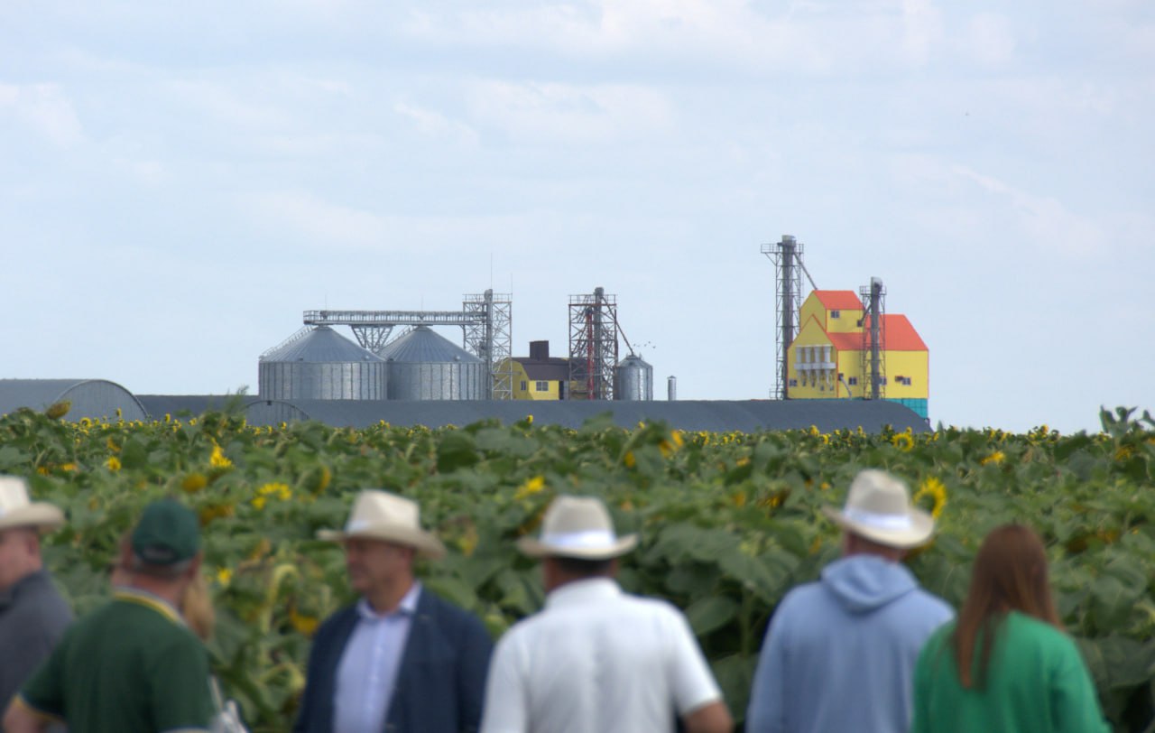 В Челябинской области собирают рекордные урожаи масличных культур В Челябинской области собирают рекордные урожаи масличных культур