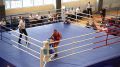 В Челябинске продолжается чемпионат МВД России по боксу