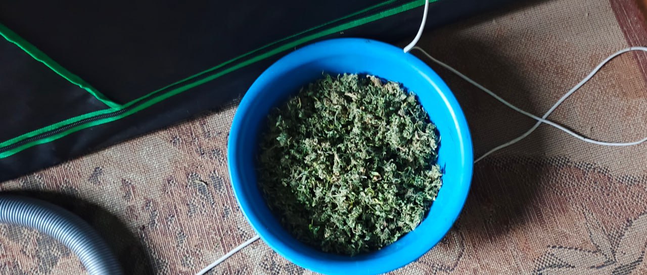 В Кусинском районе полицейские изъяли из незаконного оборота более килограмма наркотика