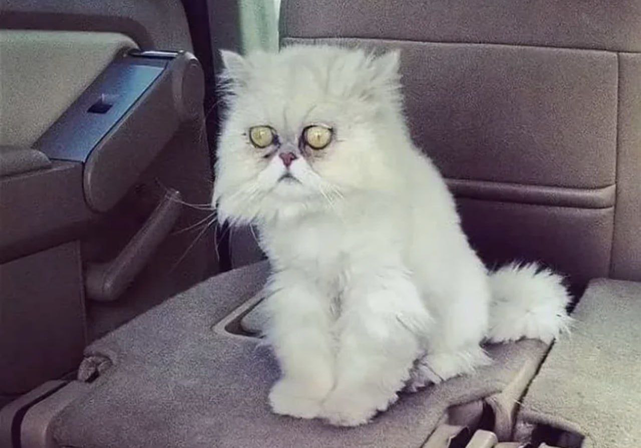 Устали? Мы вас понимаем. Как и каждый третий россиянин