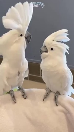 #СДобрымутром31. Работать еще 3 дня, а вы уже выбились из сил? Без паники Посмотрите на коллег по соседству, возможно, им еще хуже, чем вам Всем второго дыхания!