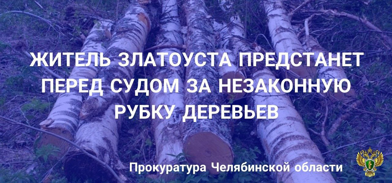 Прокуратура г. Златоуста утвердила обвинительное заключение по уголовному делу в отношении местного жителя, обвиняемого в совершении преступления, предусмотренного ч. 3 ст. 260 УК РФ (незаконная рубка лесных насаждений...