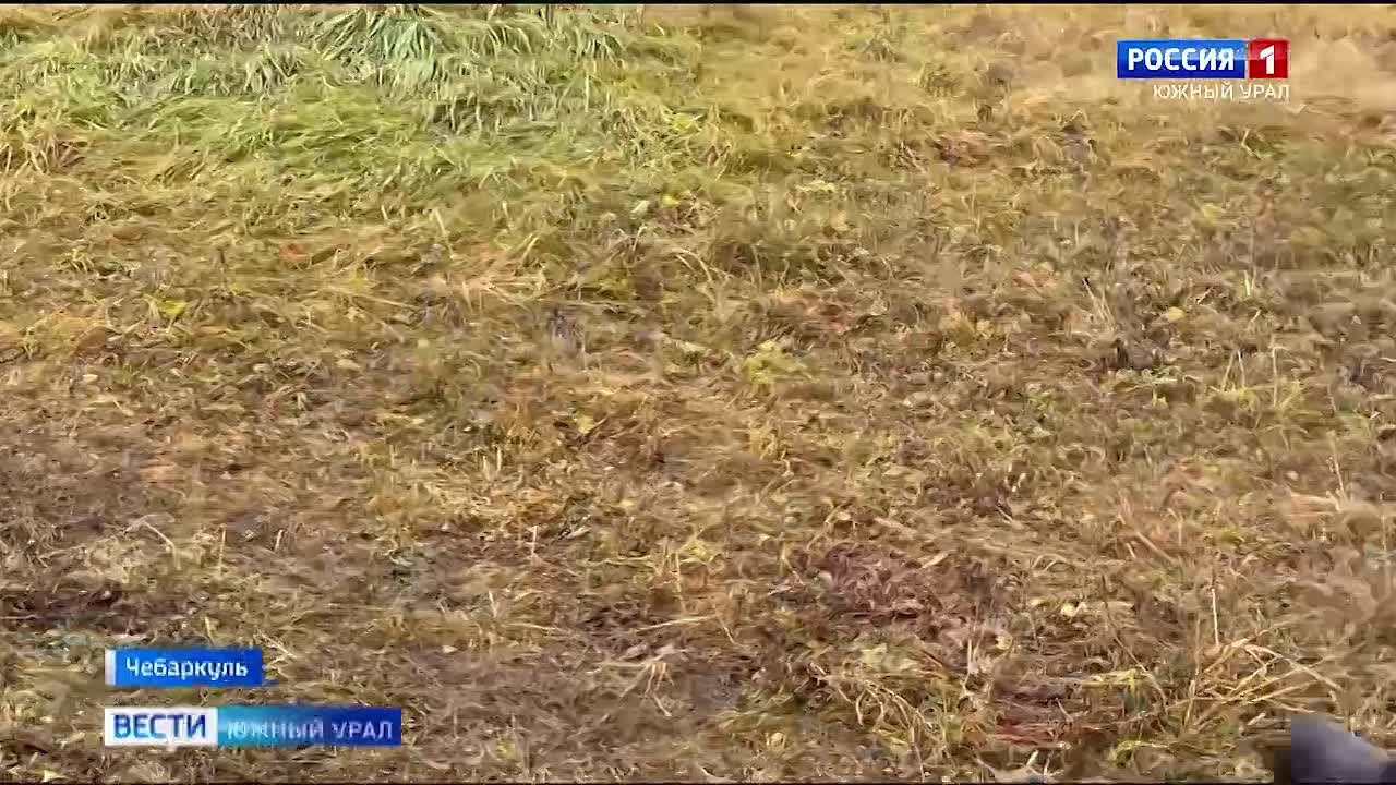 Необычные каникулы организовали для челябинских школьников в центре "Авангард"