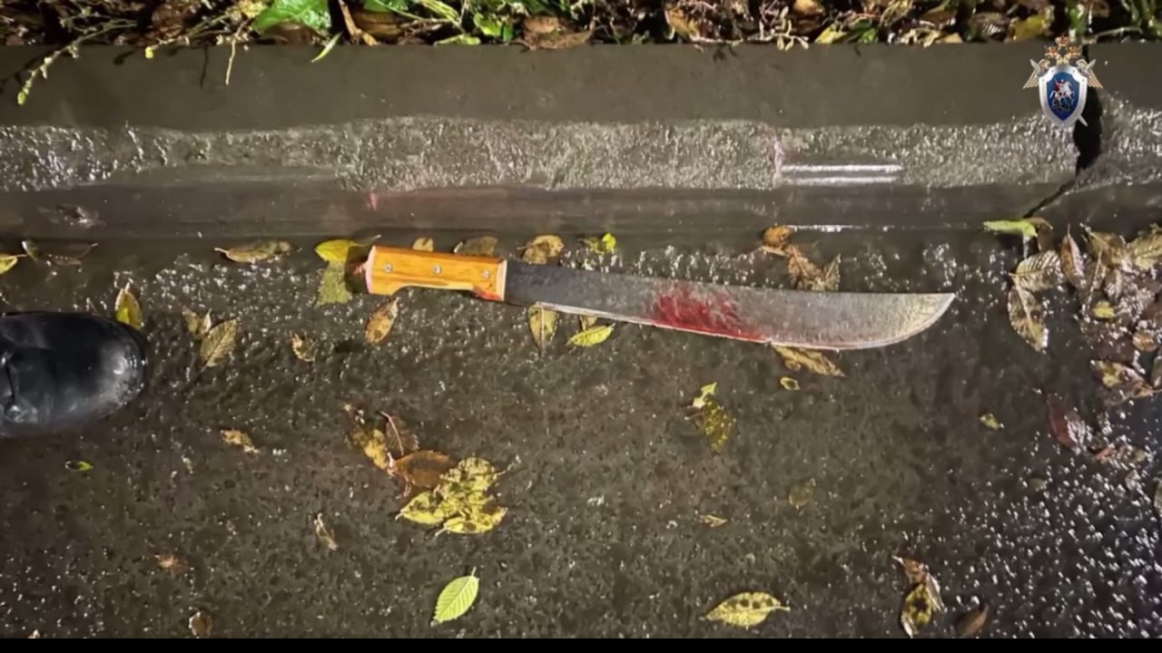 Челябинец напал на бывшую супругу и ее сожителя, пытаясь зарубить их мачете